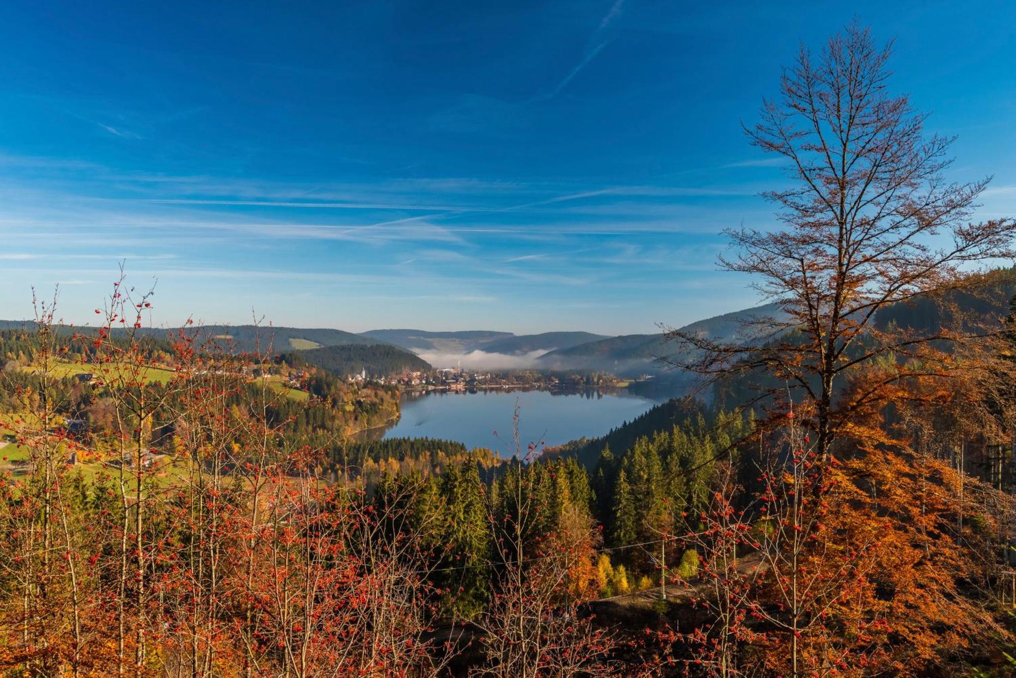 Drei Tannen - Wohnung 12 - Apartmenthaus, Titisee, Nahe Badeparadies Eksteriør billede